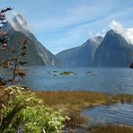 Neuseeland (2015), Milford Sound