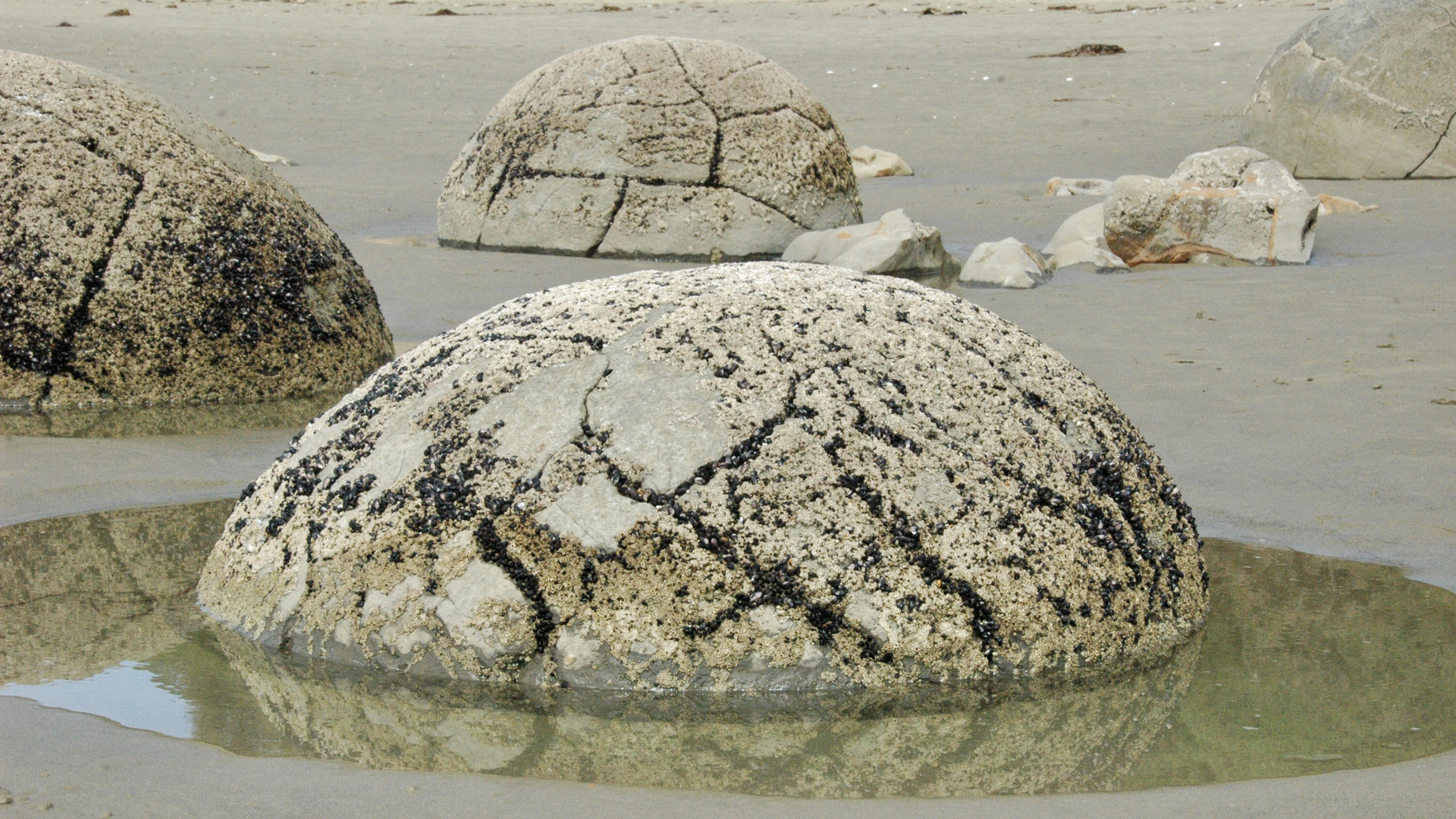 Neuseeland (2015), Moeraki Boulders