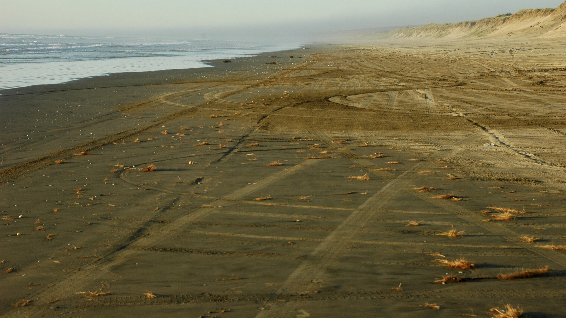 Neuseeland (2015), Ninety Mile Beach