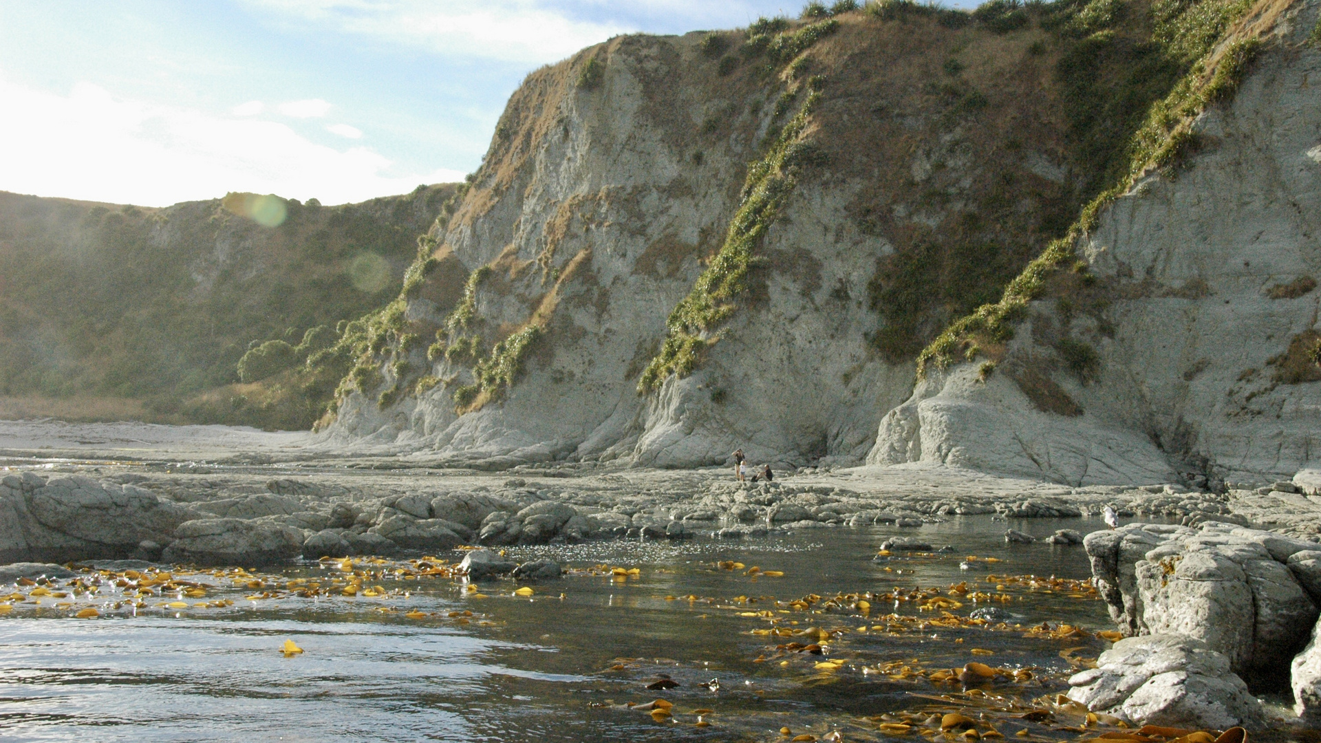 Neuseeland (2015), Nördlich Kaikoura