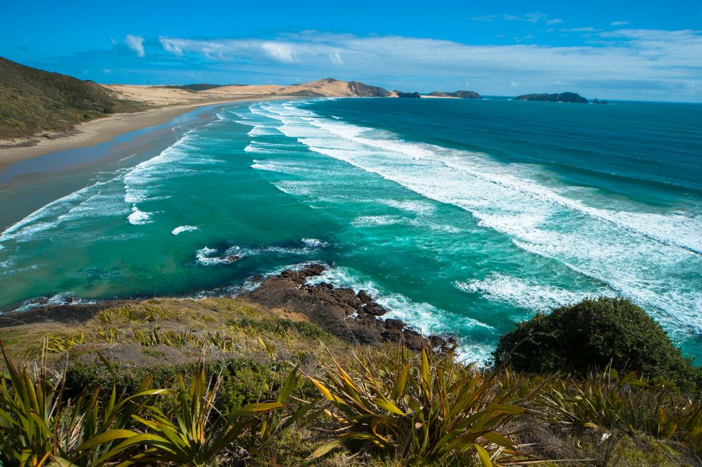 Neuseeland 2015: Nordinsel Blick vom Cape Reinga auf das Cape Maria van Diemen