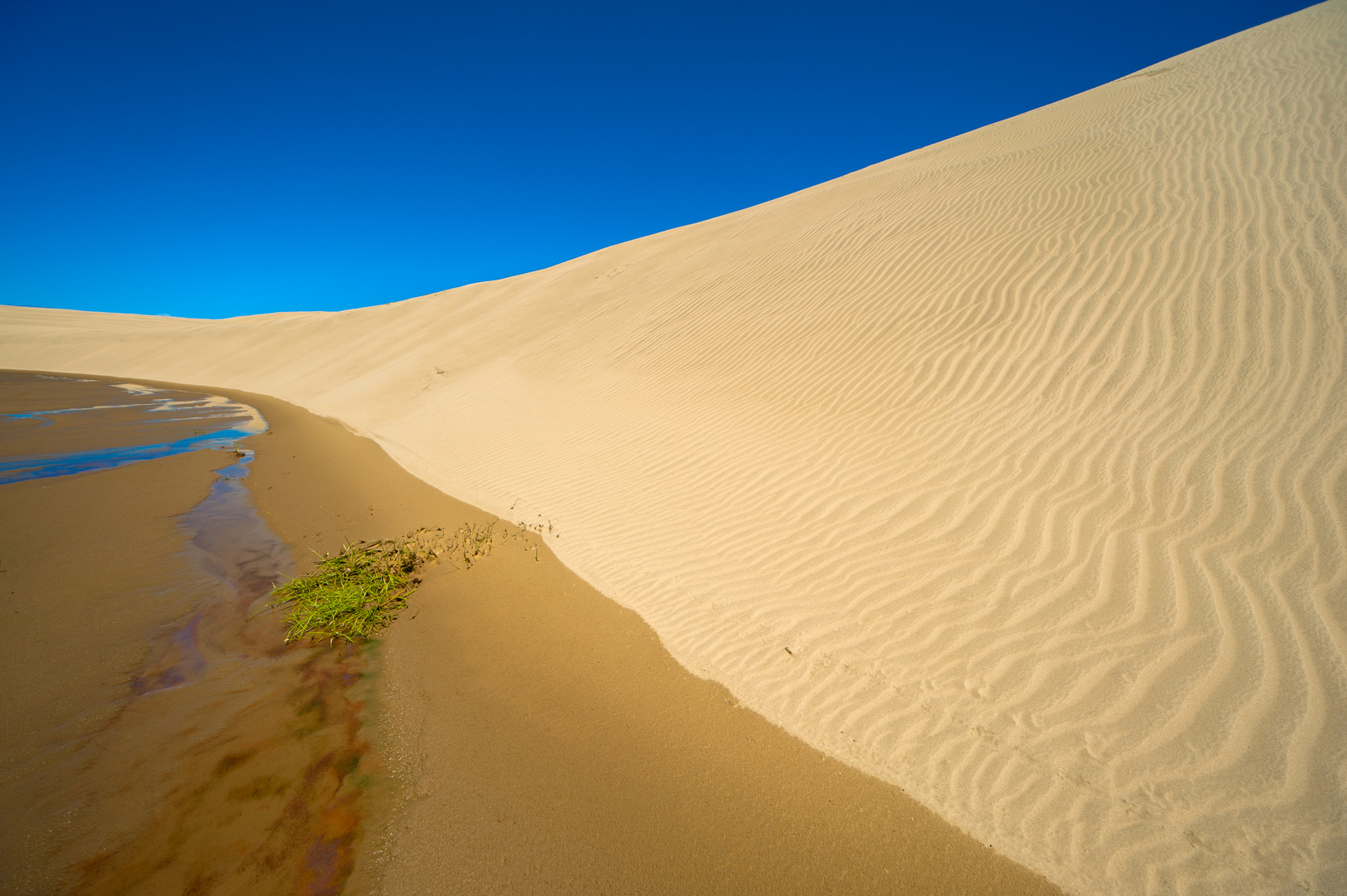 Neuseeland 2015: Nordinsel, Giant Sand Dunes