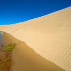 Neuseeland 2015: Nordinsel, Giant Sand Dunes