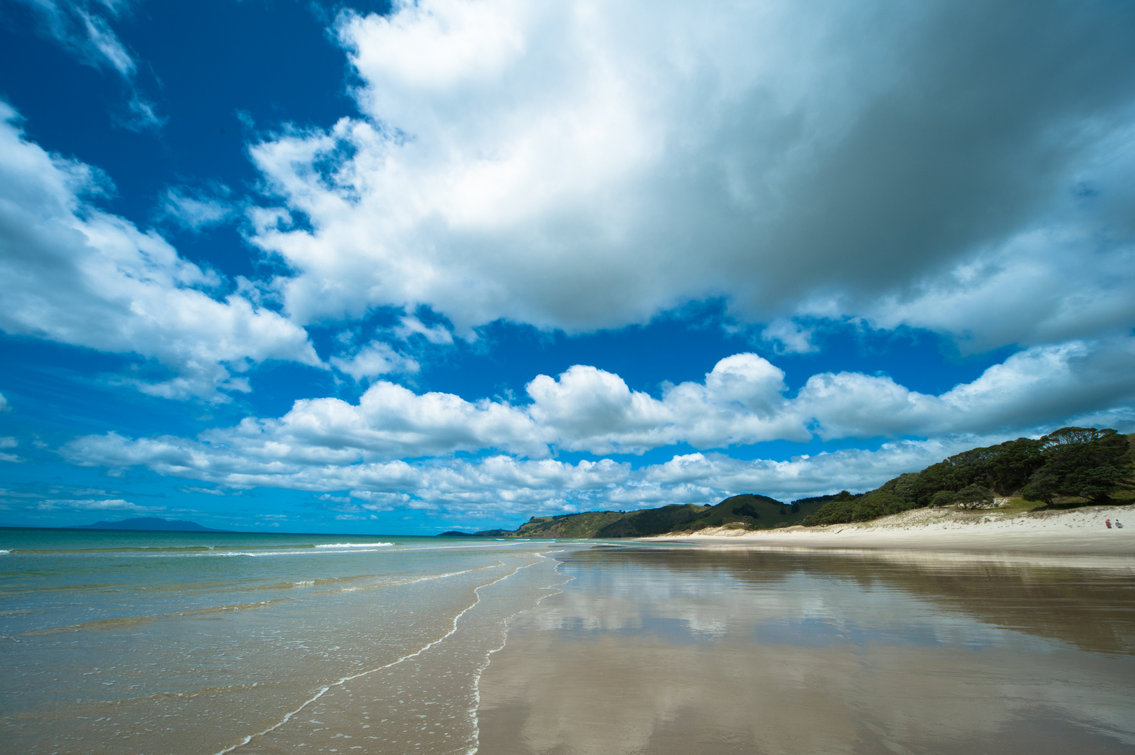 Neuseeland 2015: Nordinsel, Strand am Hauraki Gulf #1