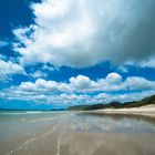 Neuseeland 2015: Nordinsel, Strand am Hauraki Gulf #1