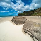 Neuseeland 2015: Nordinsel, Strand am Hauraki Gulf #2