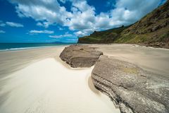 Neuseeland 2015: Nordinsel, Strand am Hauraki Gulf #2