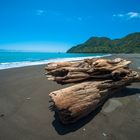 Neuseeland 2015: Nordinsel, Strand mit Treibholz im einsamen Nordwestem