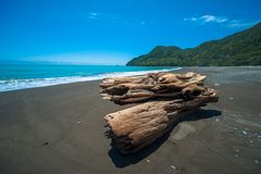 Neuseeland 2015: Nordinsel, Strand mit Treibholz im einsamen Nordwestem