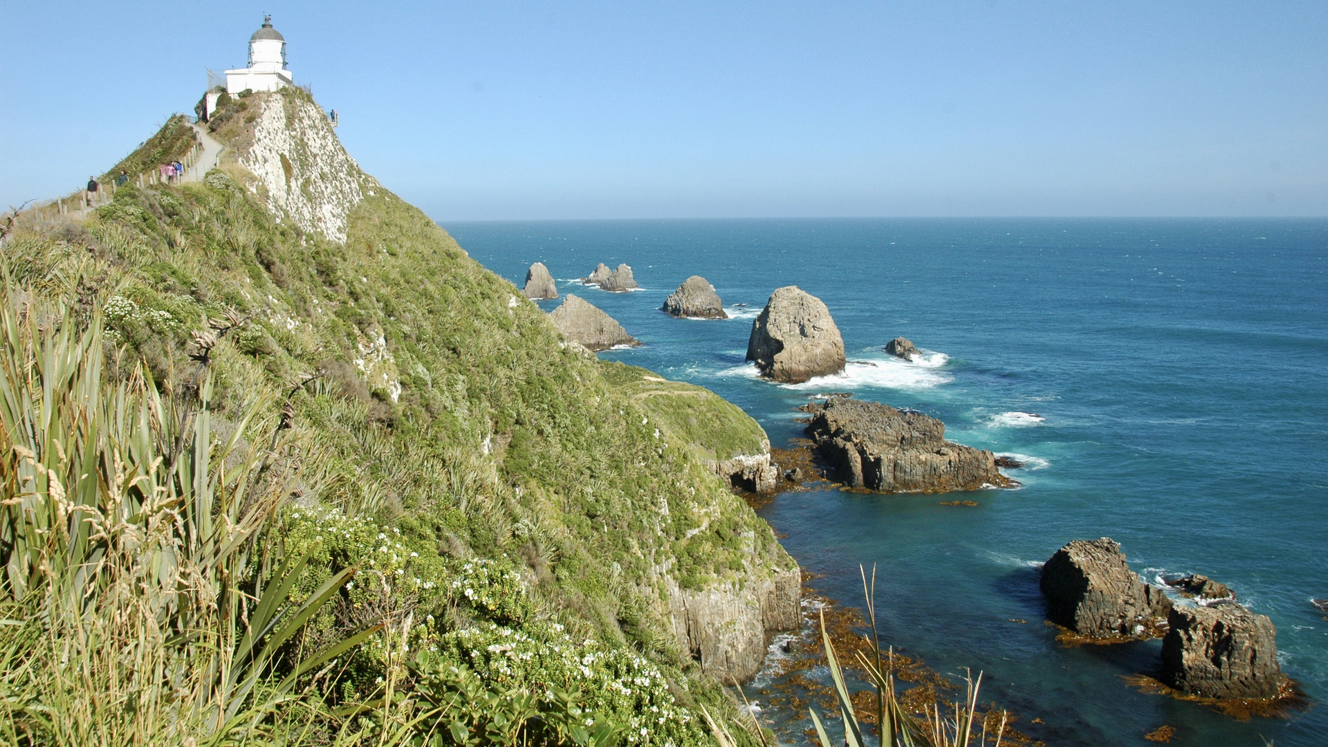 Neuseeland (2015), Nugget Point