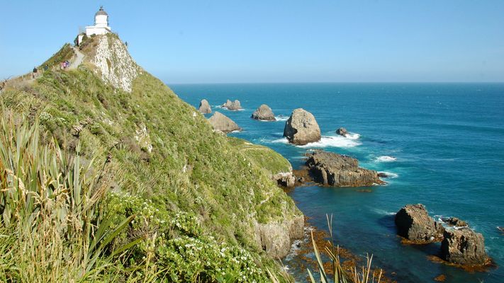 Neuseeland (2015), Nugget Point