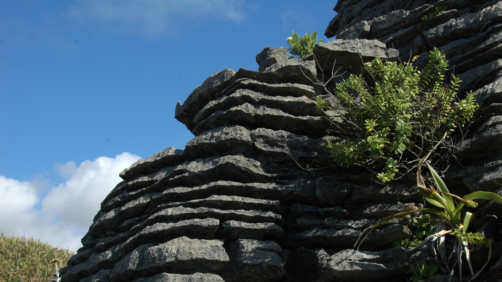 Neuseeland (2015), Pancake Rocks III