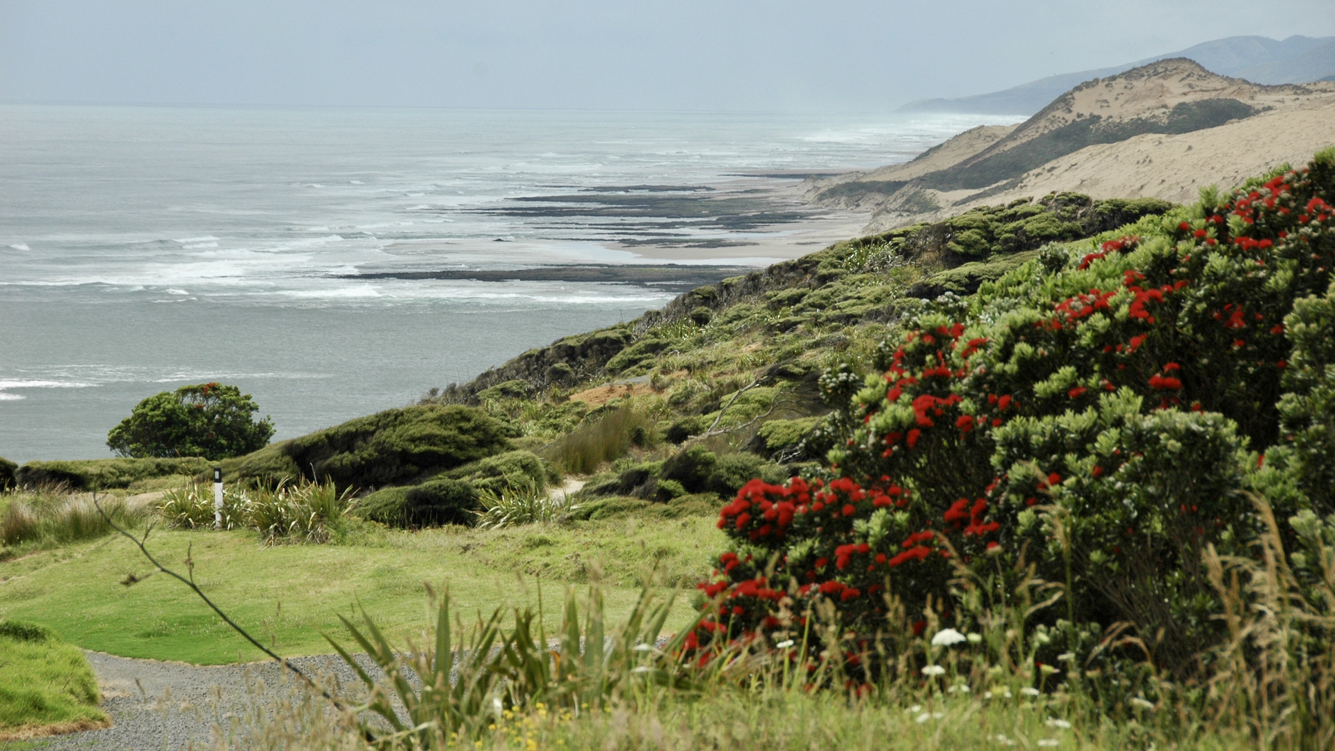 Neuseeland (2015), Te Ngaere Bay