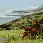 Neuseeland (2015), Te Ngaere Bay