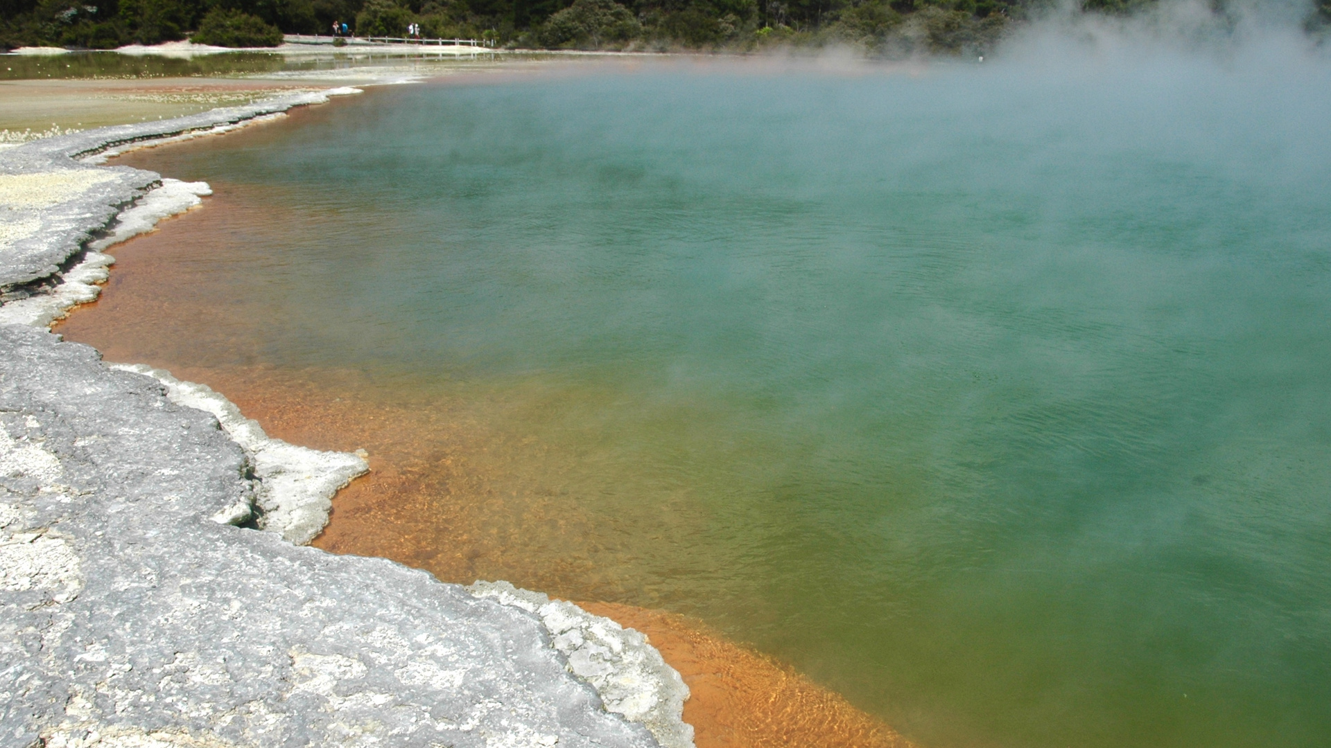 Neuseeland (2015), Wai-O-Tapu IV