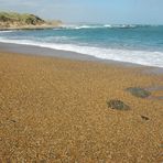 Neuseeland (2015), Waipapa Beach I