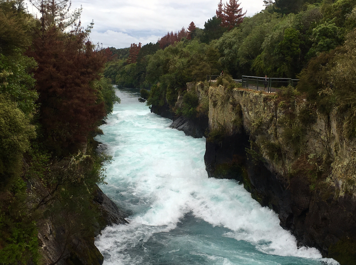 Neuseeland 2016 Taupo Nordinsel