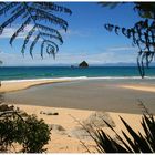 Neuseeland - Abel Tasman NP