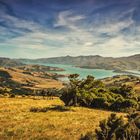 Neuseeland - Akaroa