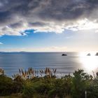 Neuseeland am Cathedral Cove