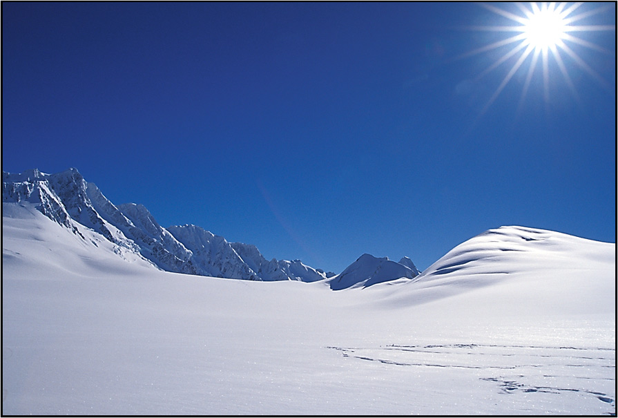 Neuseeland: auf dem Fox Glacier