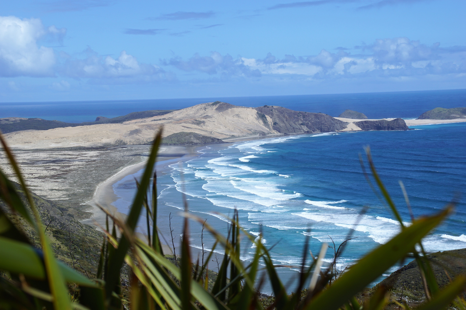 Neuseeland- Cape Reinga