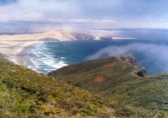 Neuseeland-Cape Reinga