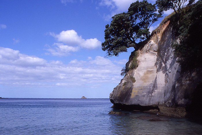 Neuseeland Cathedral Cove Jan 2004