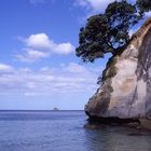 Neuseeland Cathedral Cove Jan 2004