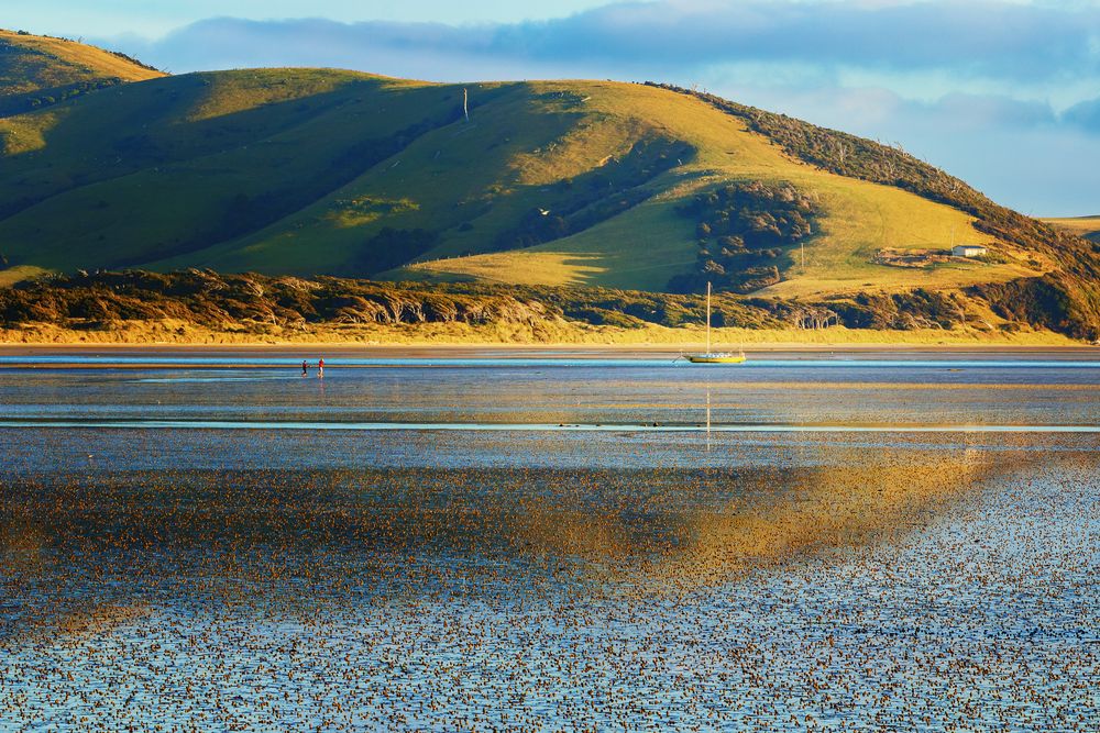 Neuseeland - Catlins, Waikawa