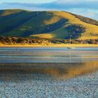 Neuseeland - Catlins, Waikawa