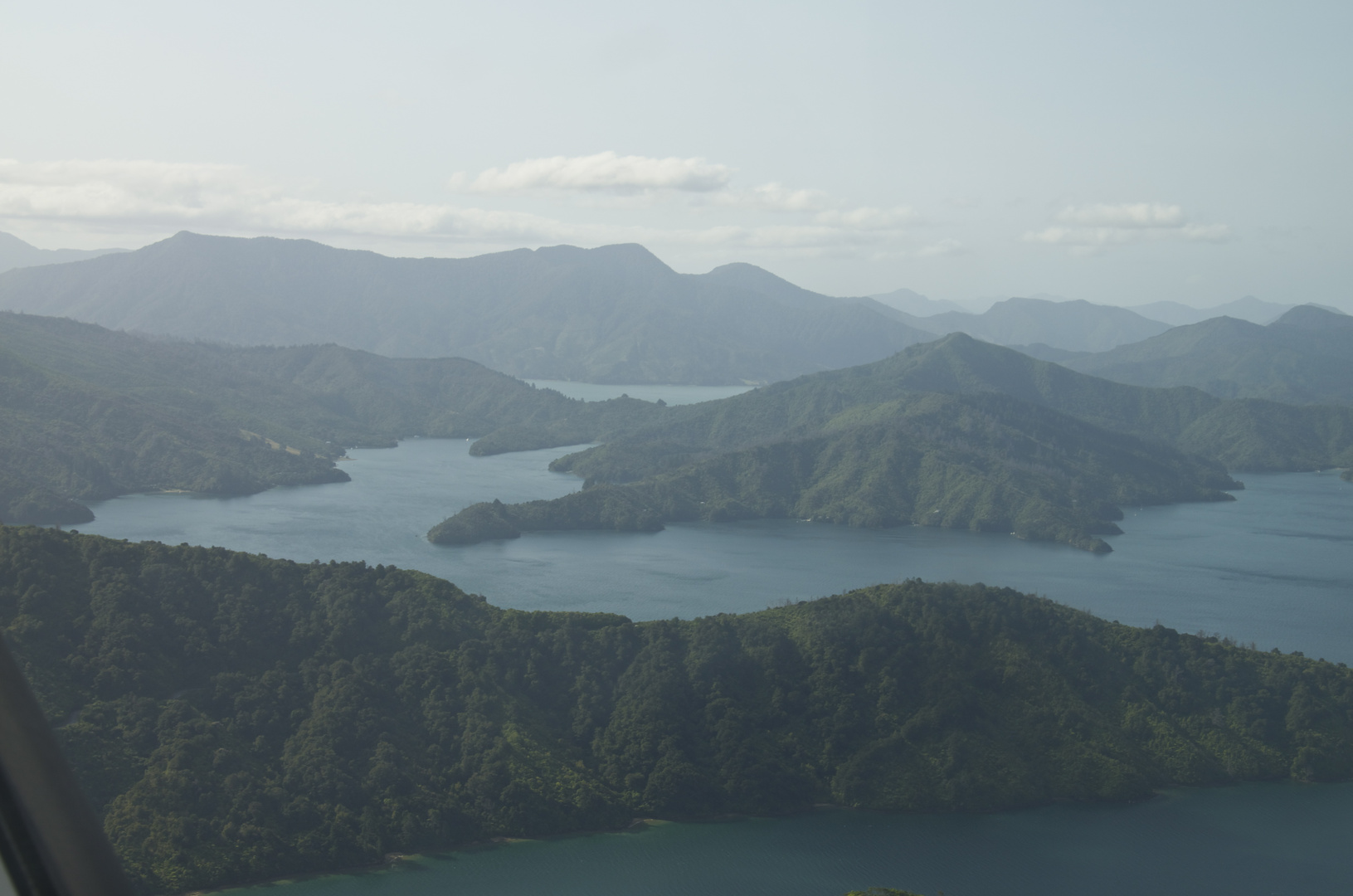 Neuseeland - Cook strait