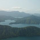 Neuseeland - Cook strait