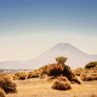 Neuseeland - Desert Road, Tongariro National Park