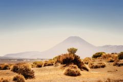 Neuseeland - Desert Road, Tongariro National Park