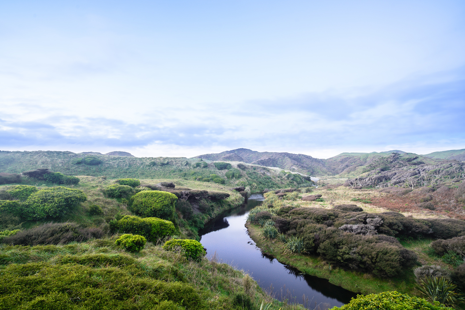 Neuseeland Dünen I