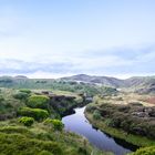 Neuseeland Dünen I