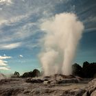 Neuseeland - Geysir