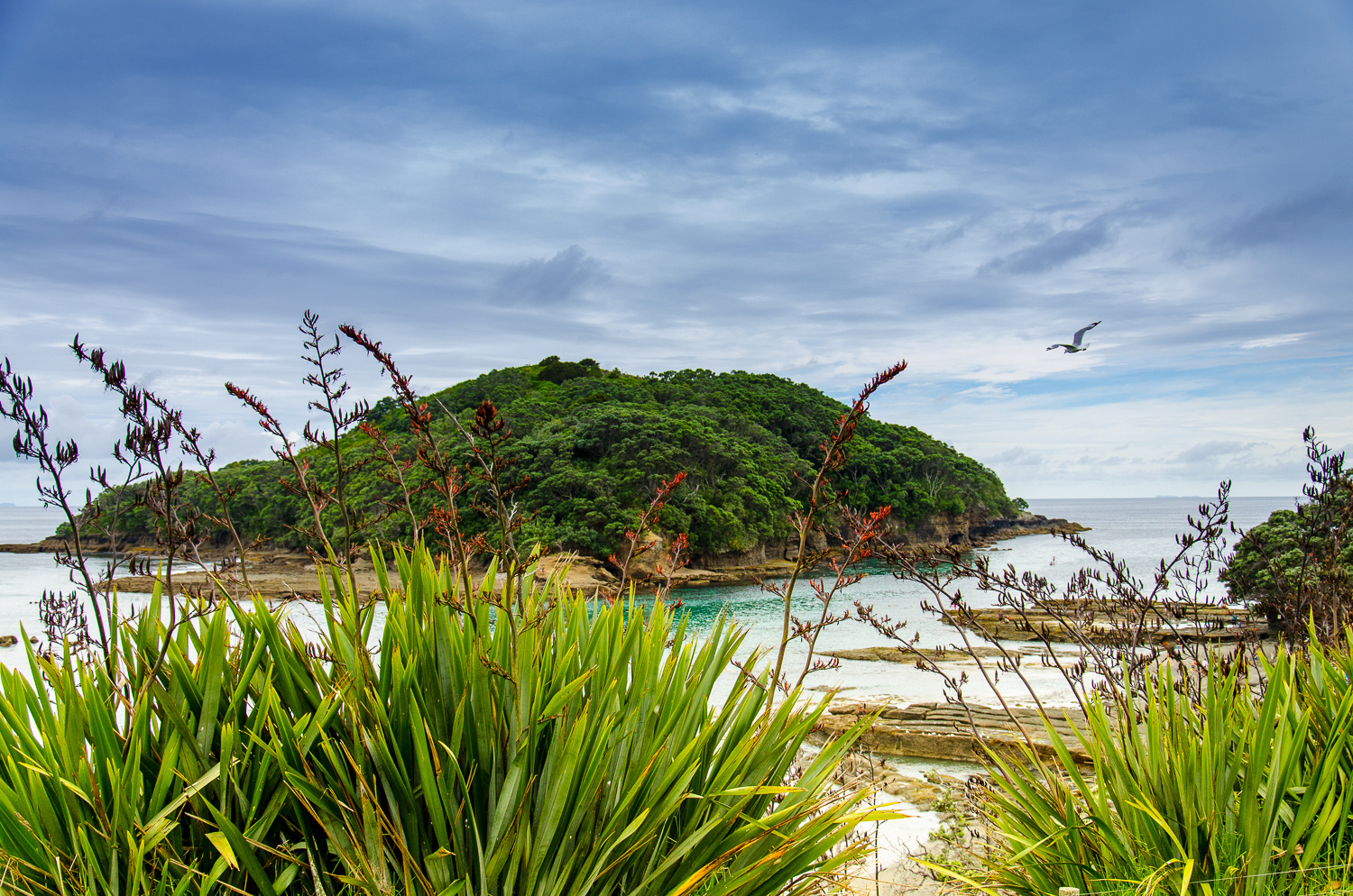 Neuseeland - Grüne Insel