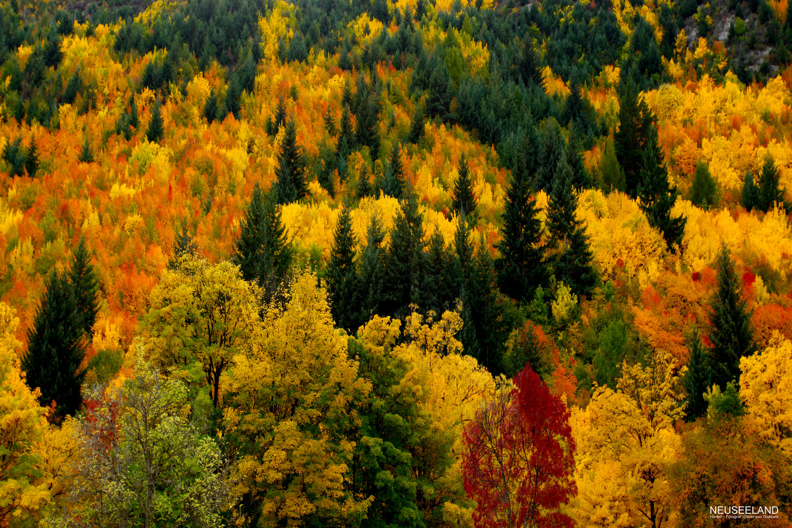 Neuseeland - Herbst