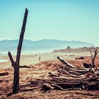 Neuseeland - Hokitika