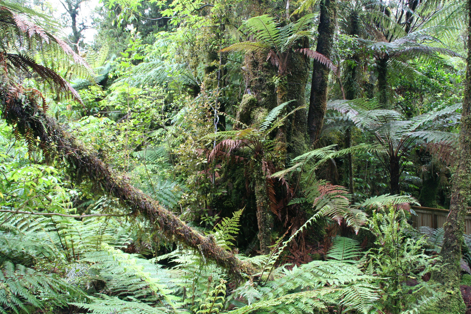 Neuseeland: Im Land der Hobbits