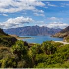 Neuseeland - Lake Hawea