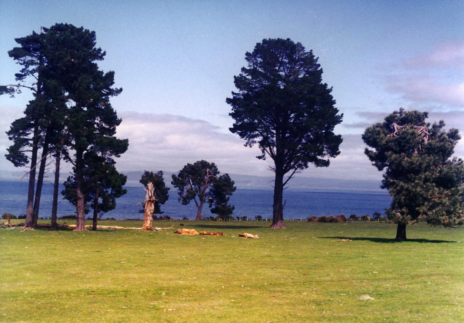 Neuseeland-Lake Taupo