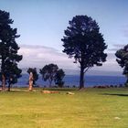 Neuseeland-Lake Taupo