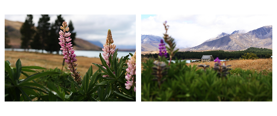 Neuseeland - Lake Tekapo