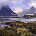 Neuseeland - MIlford Sound