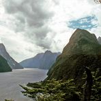 Neuseeland - Milford Sound