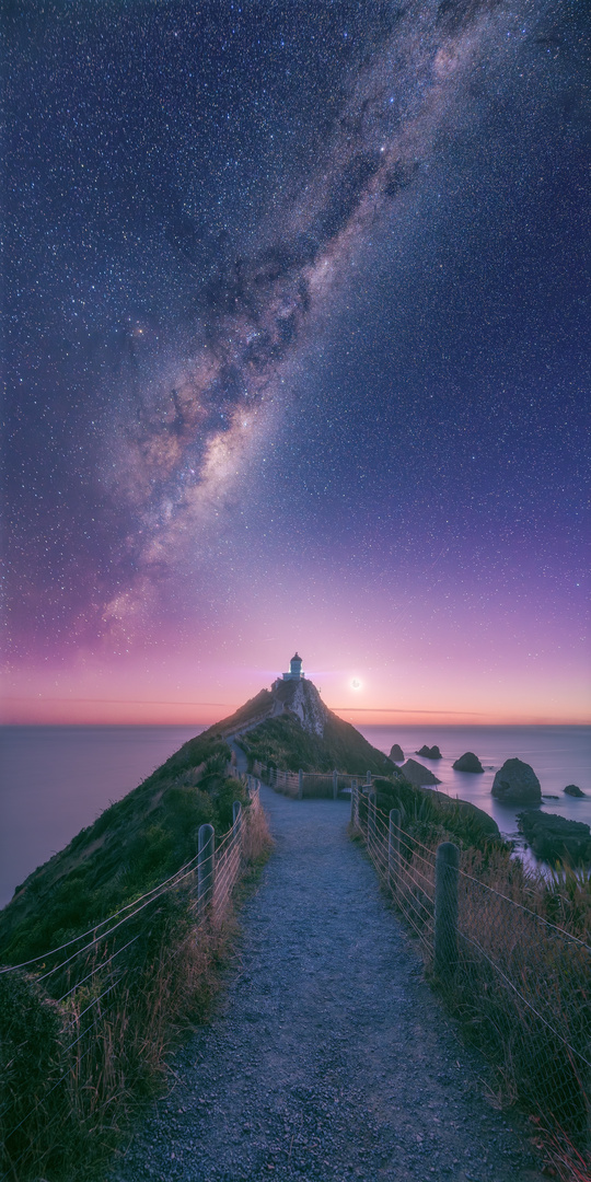 Neuseeland - Nugget Point Vertorama