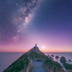 Neuseeland - Nugget Point Vertorama